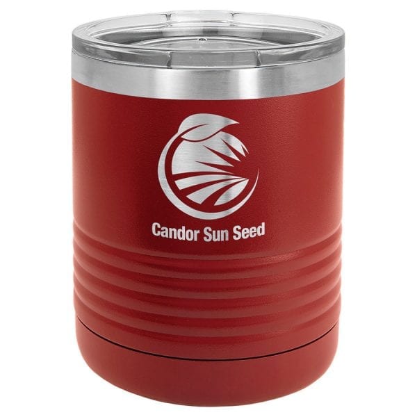 Polar Camel Ringneck 10 oz. Maroon Vacuum Insulated Tumbler with Clear Lid